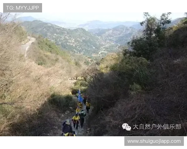 澳门乐透角子机游戏规则介绍,帮助新手快速上手掌握技巧 澳门乐透角子机游戏规则介绍,帮助新手快速上手掌握技巧