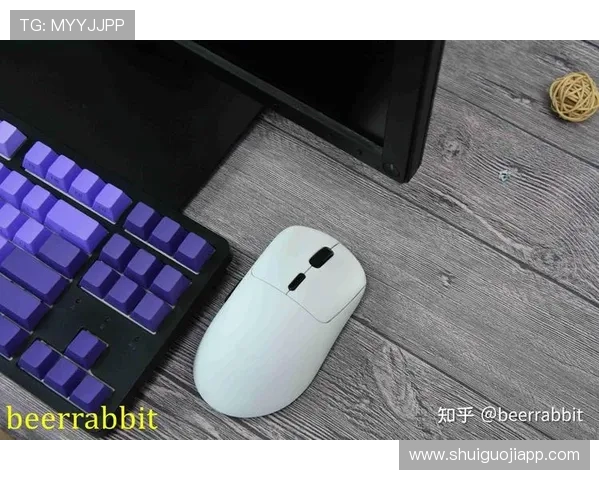 tg电竞鼠标驱动常见问题及解决方案全面总结提升驱动稳定性与性能