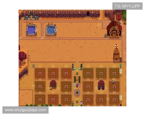 星露谷游戏机怎么拿：获取方法全攻略及常见问题解答