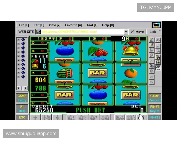 水果机游戏电脑版有哪些特色功能，全面解析让你玩得更尽兴