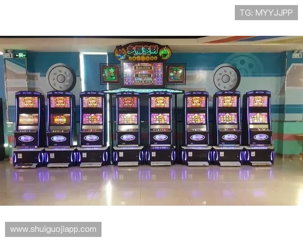 多福多财老虎机的历史与发展,了解这款游戏背后的精彩故事