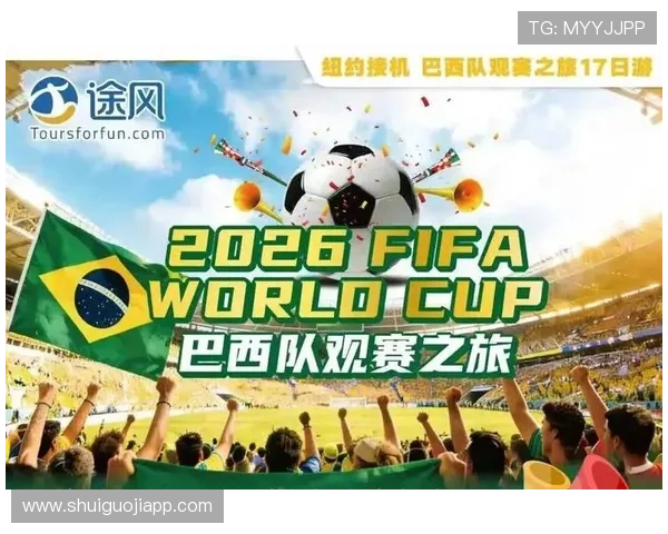 世界杯美国巴拉圭现场观赛攻略：交通指南、住宿推荐与周边娱乐活动介绍